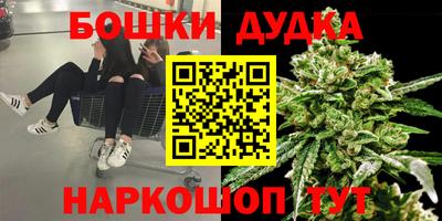 a pvp Дубна
