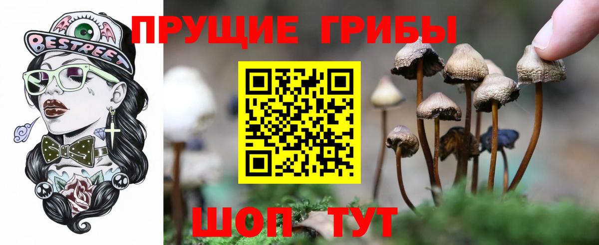 Псилоцибиновые грибы мухоморы Магнитогорск